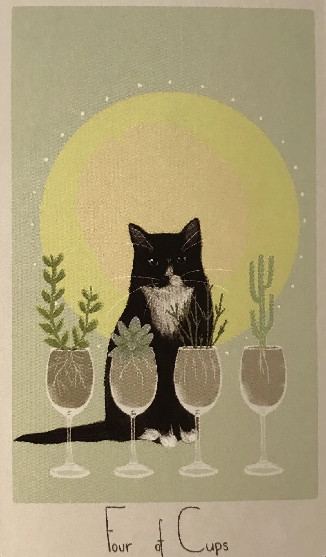 4 of Cups card from the Considerate Cat Tarot deck