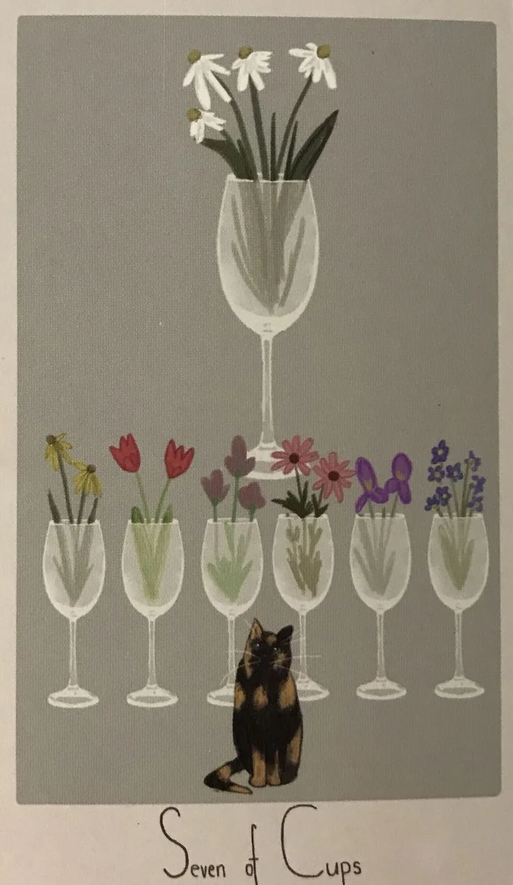 7 of Cups card from the Considerate Cat Tarot deck