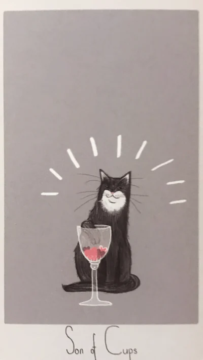 Son of Cups card from the Considerate Cat Tarot deck