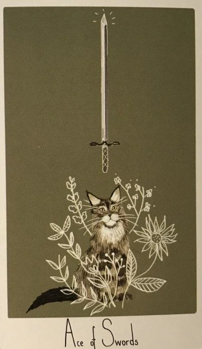 Ace of Swords card from the Considerate Cat Tarot deck