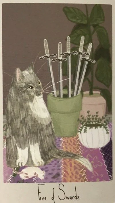 5 of Swords card from the Considerate Cat Tarot deck