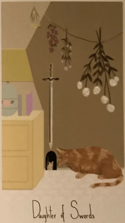 Daughter of Swords card from the Considerate Cat Tarot deck