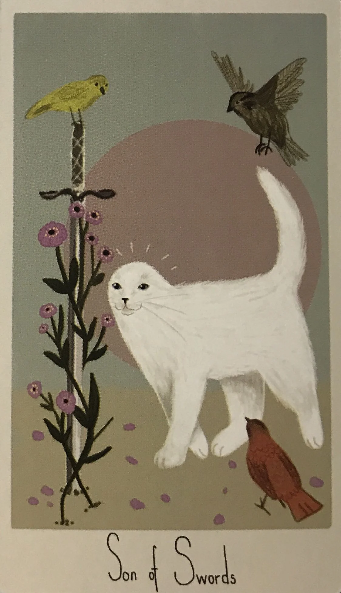 Son of Swords card from the Considerate Cat Tarot deck