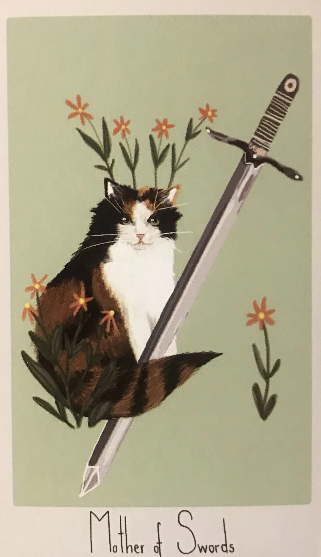 Mother of Swords card from the Considerate Cat Tarot deck