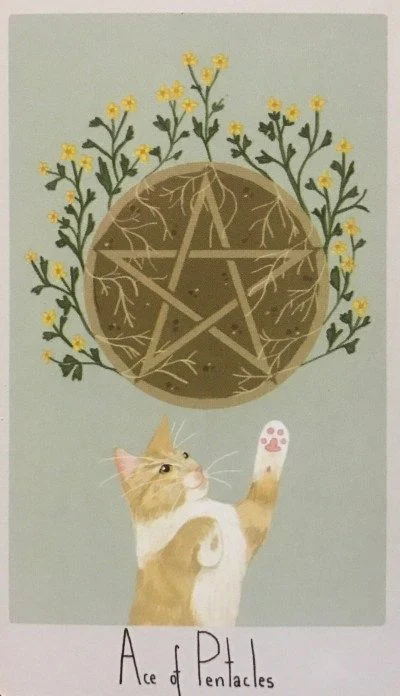 Ace of Pentacles card from the Considerate Cat Tarot deck