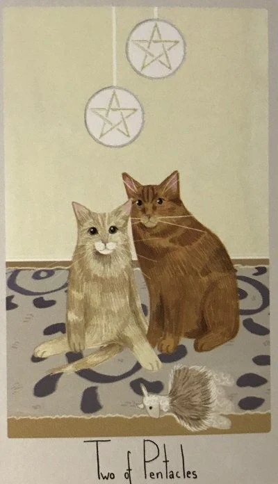 2 of Pentacles card from the Considerate Cat Tarot deck