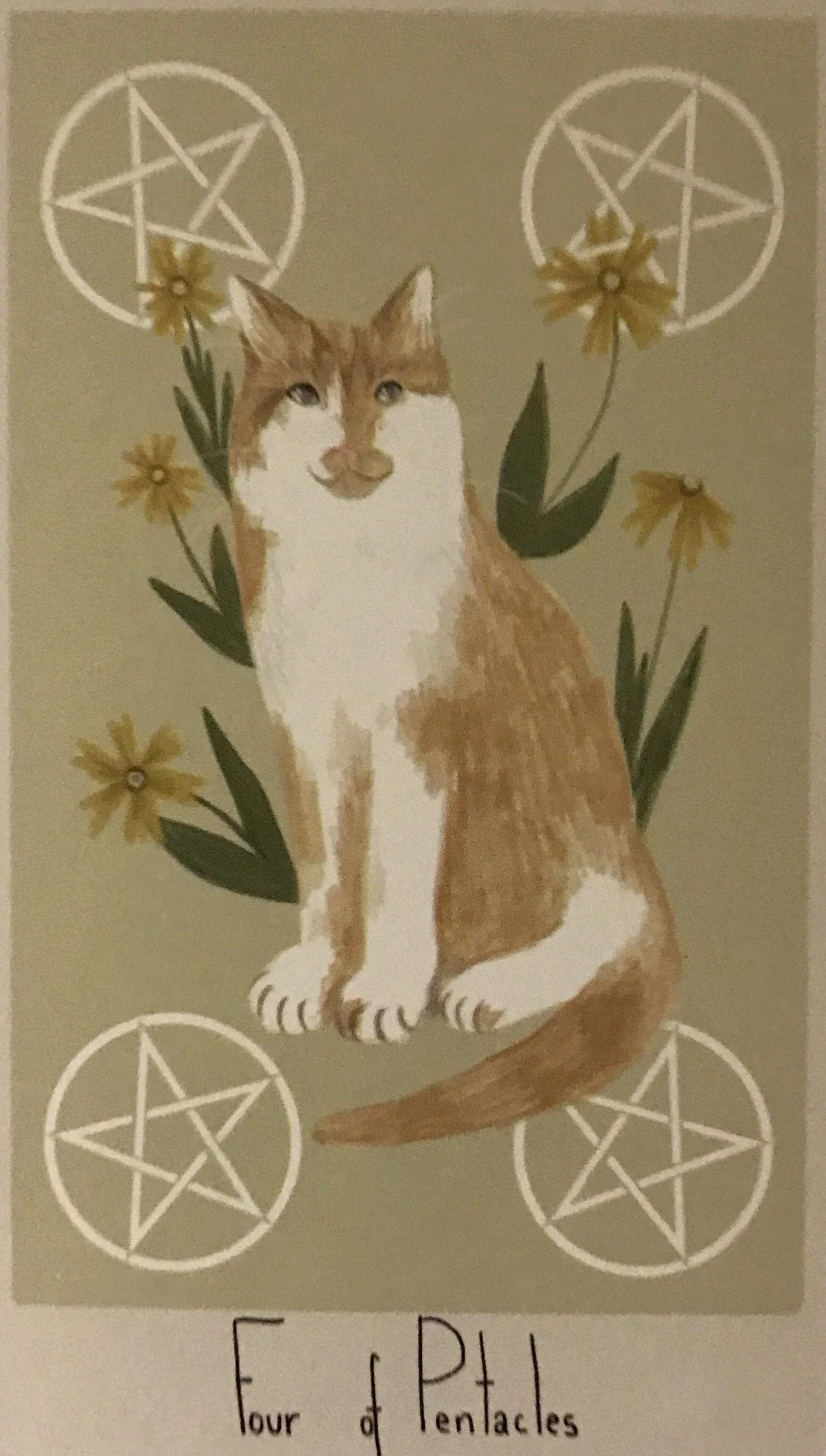 4 of Pentacles card from the Considerate Cat Tarot deck