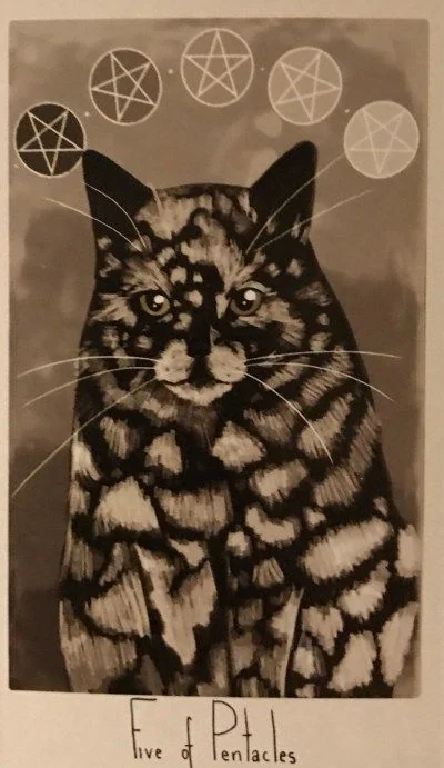 5 of Pentacles card from the Considerate Cat Tarot deck