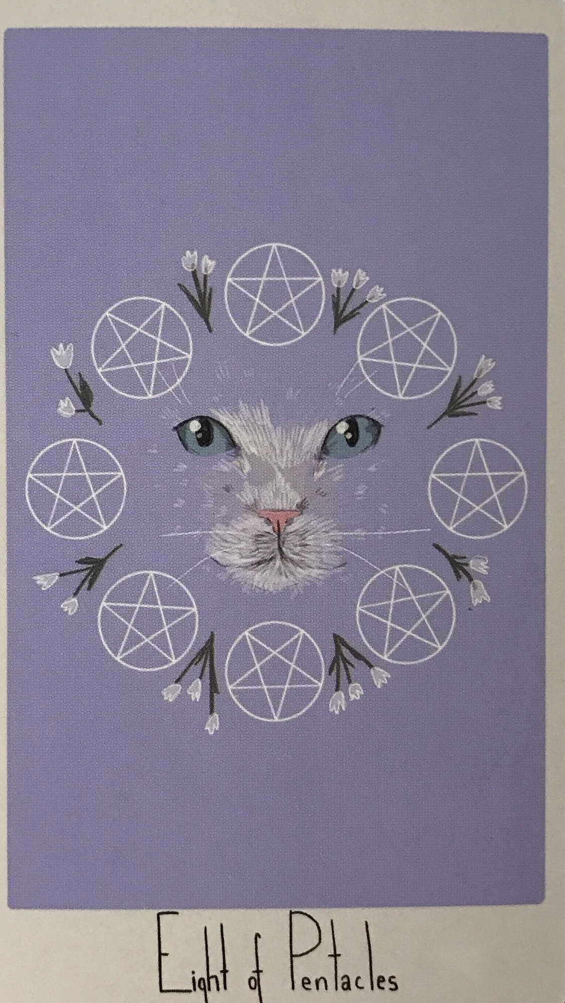 8 of Pentacles card from the Considerate Cat Tarot deck