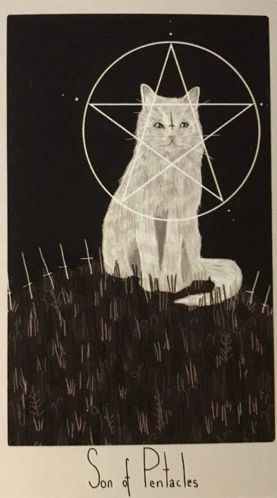 Son of Pentacles card from the Considerate Cat Tarot deck