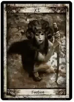 Corneal Edema Tarot Review 7 Corneal Edema Tarot source-order card 10