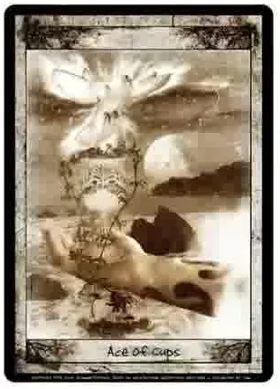 Corneal Edema Tarot source-order card 51
