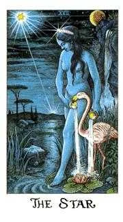 The Star card from the Cosmic Tarot deck