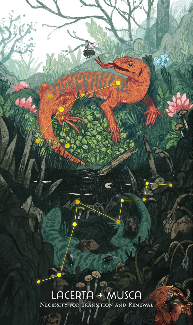 Lacerta + Musca from the Cosmos Tarot and Oracle source-order gallery