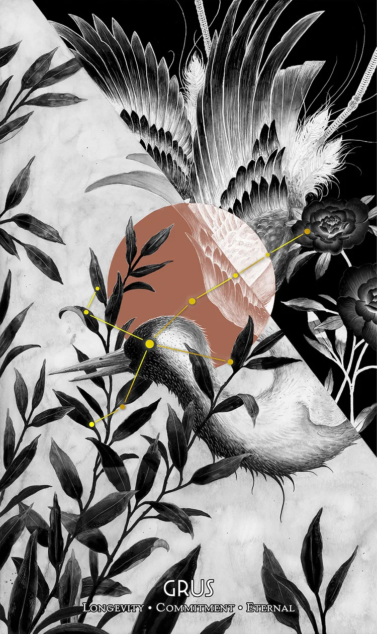 Grus from the Cosmos Tarot and Oracle source-order gallery