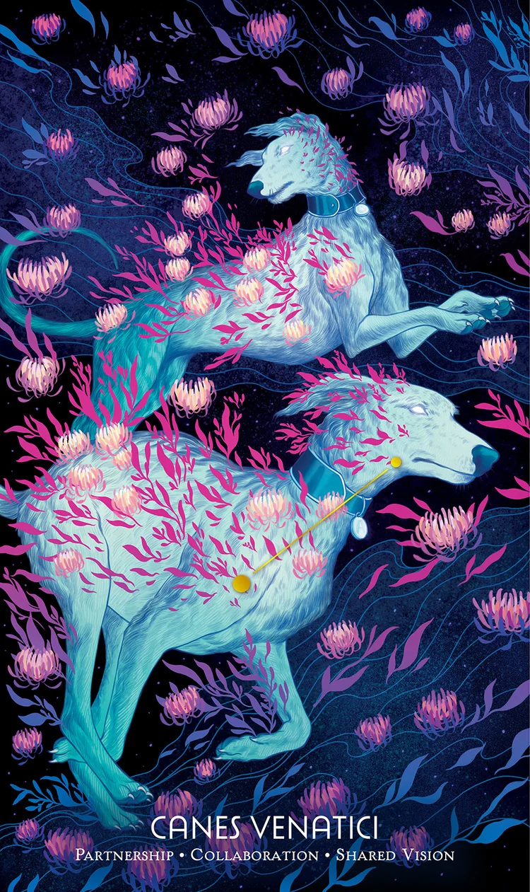 Canes Venatici from the Cosmos Tarot and Oracle source-order gallery