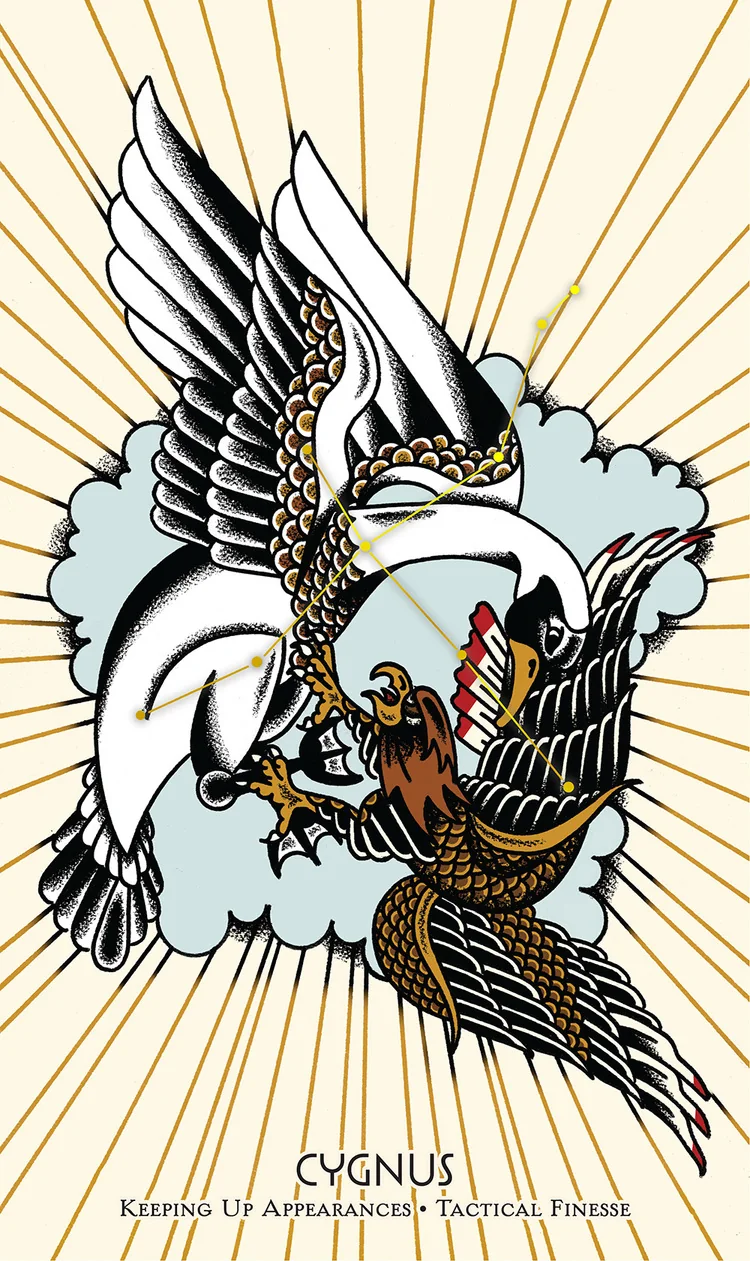 Cygnus from the Cosmos Tarot and Oracle source-order gallery