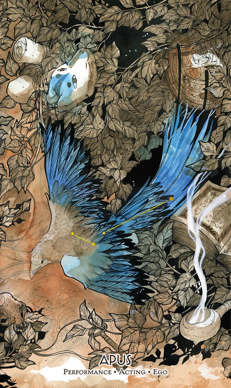 Apus from the Cosmos Tarot and Oracle source-order gallery