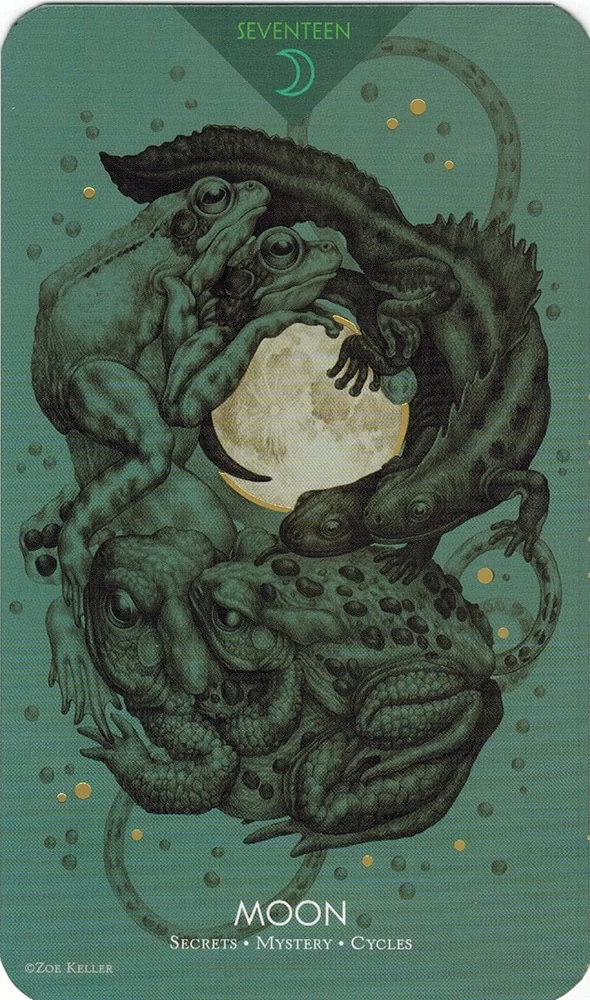 Moon from the Cosmos Tarot and Oracle source-order gallery