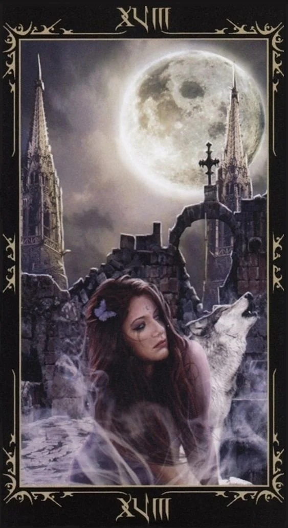 The Moon card from the Dark Fairytale Tarot deck