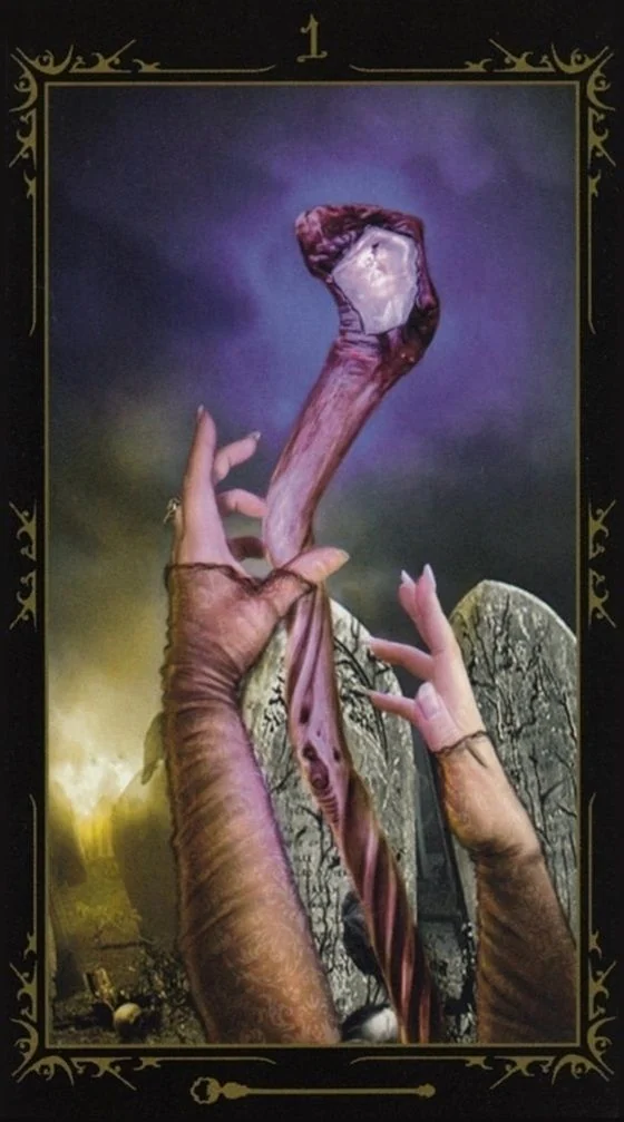 Ace of Wands card from the Dark Fairytale Tarot deck