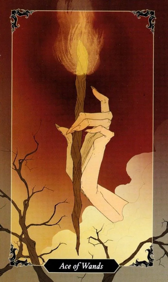 Ace of Wands card from the Dark Wood Tarot deck