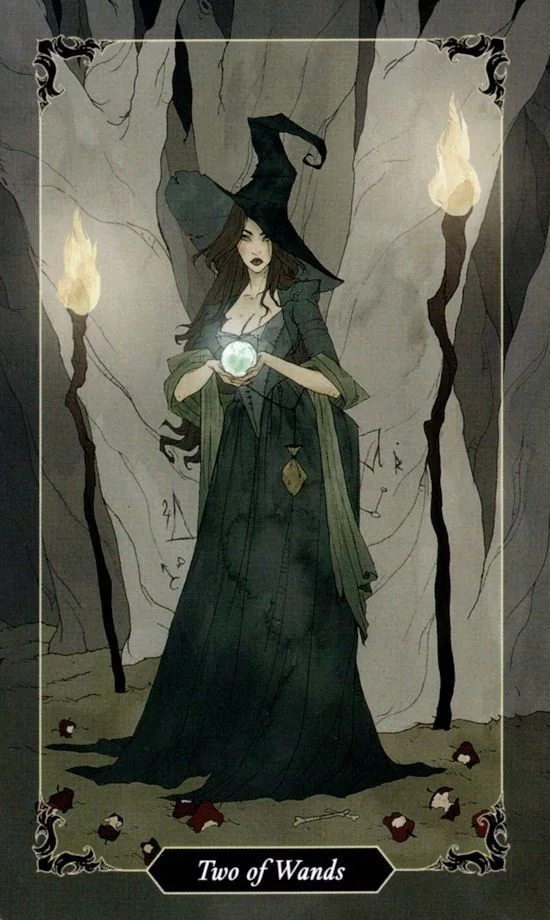 2 of Wands card from the Dark Wood Tarot deck