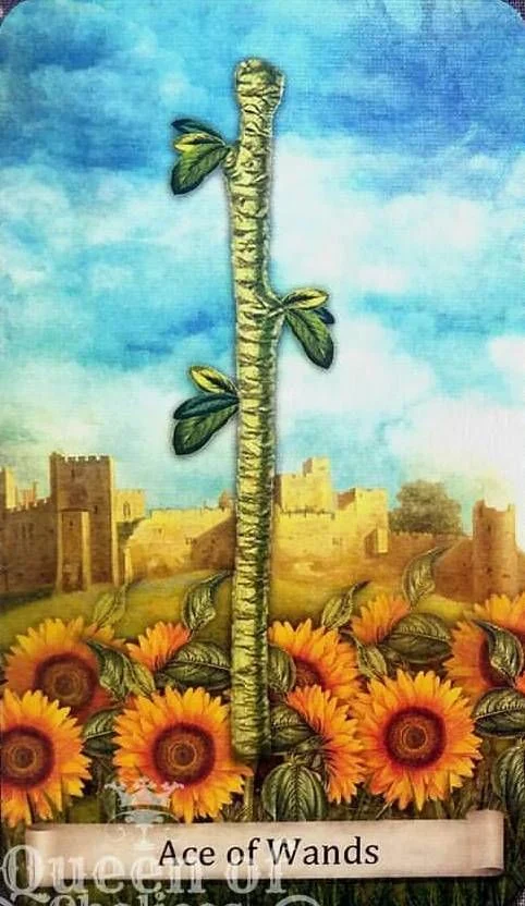 Ace of Wands from the Distant Past Tarot deck