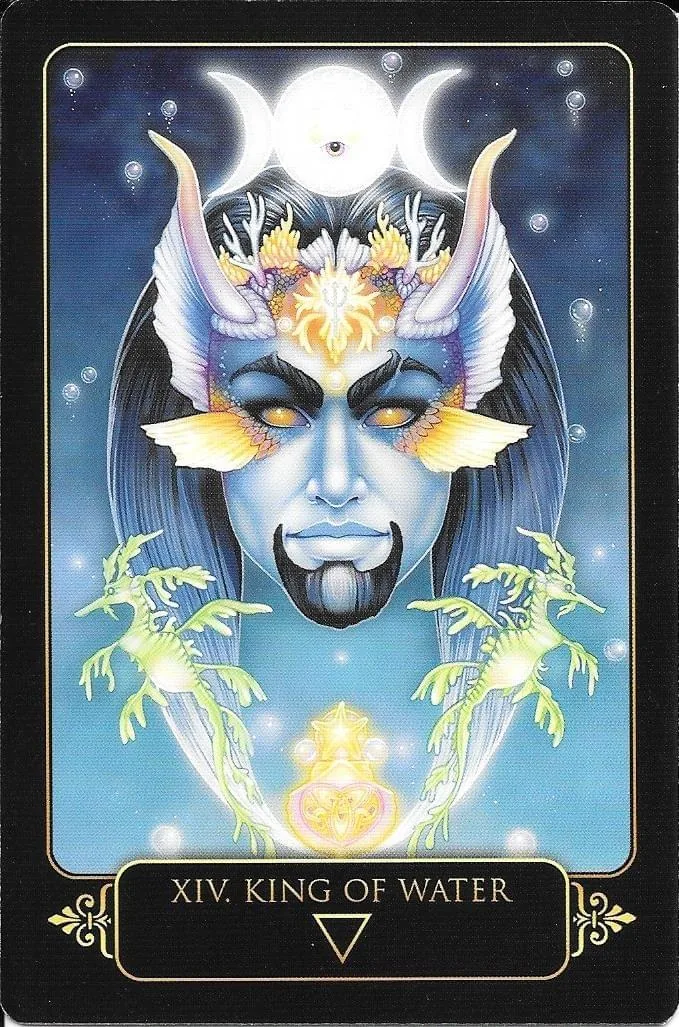 Dreams of Gaia Tarot Review 15 XIV. King of Water card from Dreams of Gaia Tarot