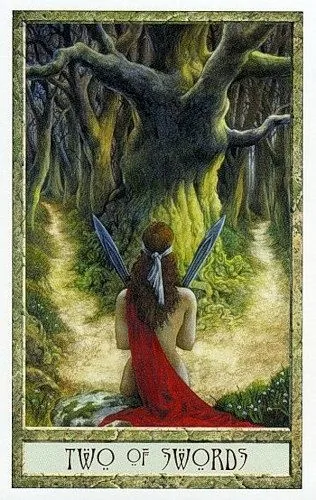 2 of Swords - Druidcraft Tarot - Tarot Deck by Philip and Stephanie Carr-Gomm
