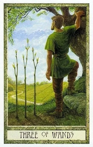 3 of Wands - Druidcraft Tarot - Tarot Deck by Philip and Stephanie Carr-Gomm