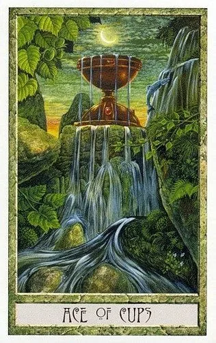 Ace of Cups - Druidcraft Tarot - Tarot Deck by Philip and Stephanie Carr-Gomm