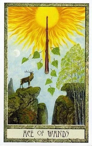 Ace of Wands - Druidcraft Tarot - Tarot Deck by Philip and Stephanie Carr-Gomm