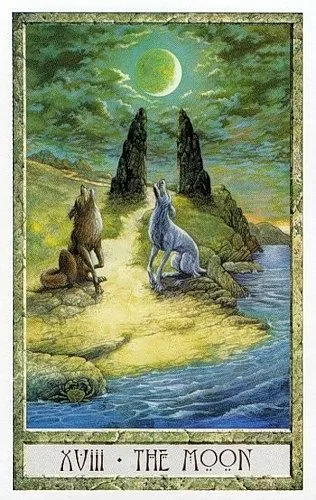 The Moon card from the Druidcraft Tarot deck