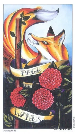 Fox Wands Study card from the Eight Coins Tattoo Tarot deck