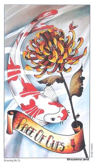 Page of Cups Study card from the Eight Coins Tattoo Tarot deck