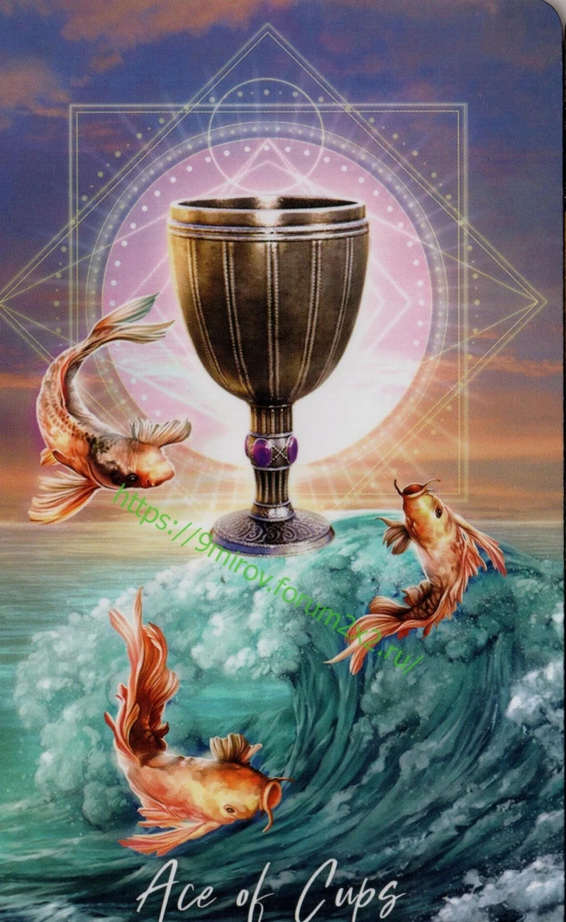 Elemental Wisdom Tarot Review 11 Ace of Cups from Elemental Wisdom Tarot