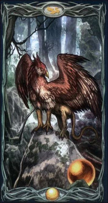 Griffin of Spheres card from the Epic Tarot deck