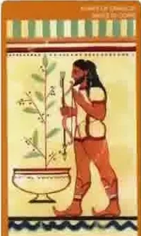 Card 32 card from the Etruscan Tarot deck