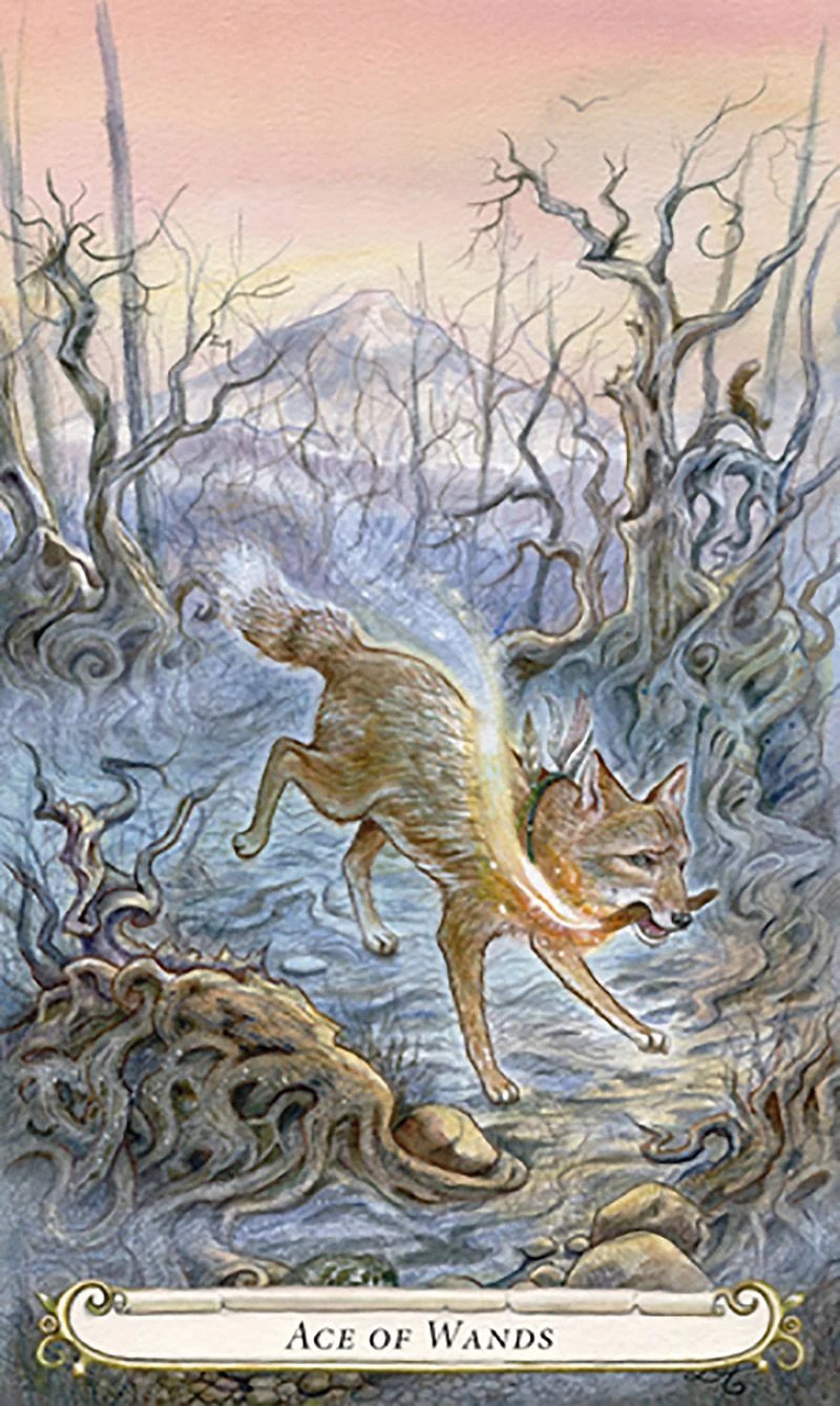 Ace of Wands card from The Fairy Tale Tarot by Lisa Hunt