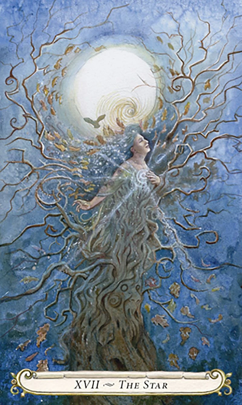 The Star card from The Fairy Tale Tarot by Lisa Hunt