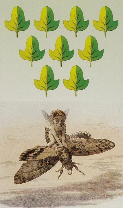 Fairy Tarot Alligo Card 57 card from the Fairy Tarot Alligo deck