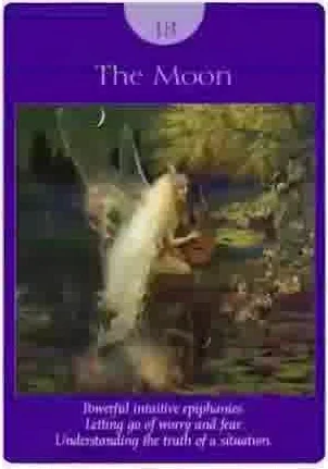 Five of Wands card from the Fairy Tarot deck