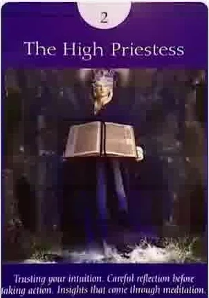 King of Wands card from the Fairy Tarot deck