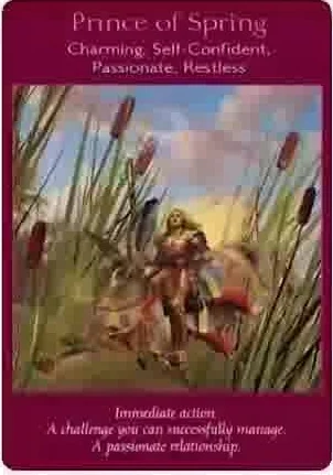 Ten of Cups card from the Fairy Tarot deck