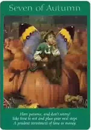 Five of Swords card from the Fairy Tarot deck