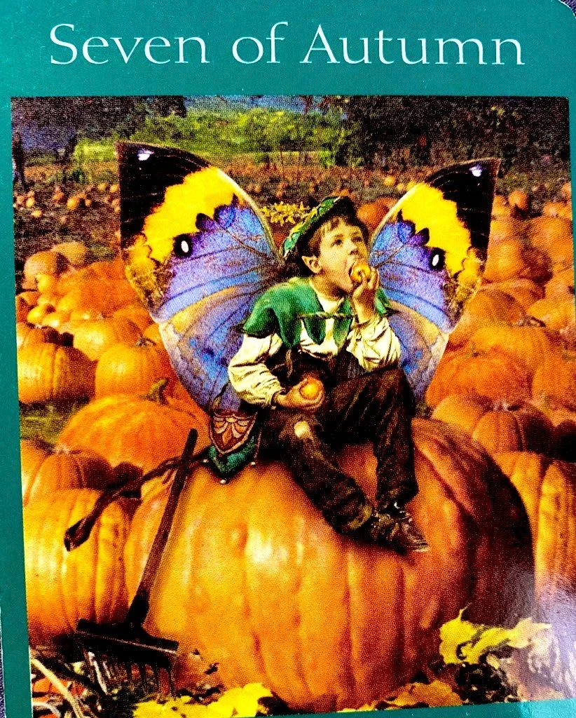 Seven of Autumn – Fairy Tarot by Radleigh Valentine tarot deck card on TarotFans.com