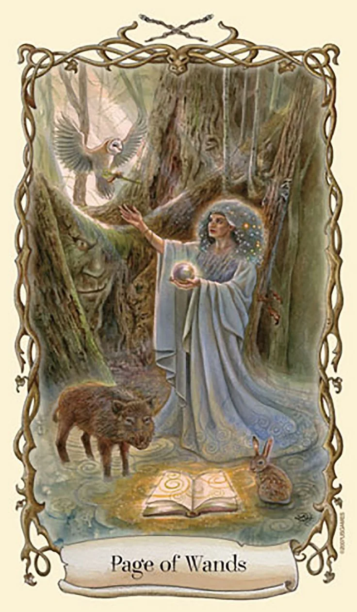 Card 47 card from the Fantastical Creatures Tarot deck