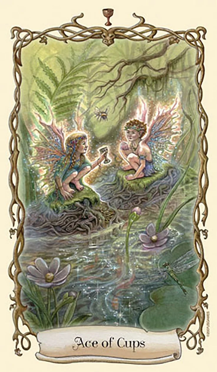Ace of Cups - Fantastical Creatures Tarot - Tarot Deck by D. J. Conway and Lisa Hunt