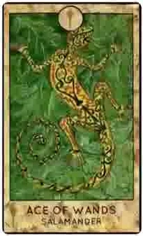 Ace of Wands — Salamander card from the Fantasy Creatures Tarot deck